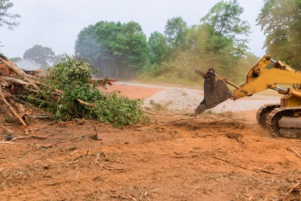 Cost of Forestry Mulching Service in North Tonawanda