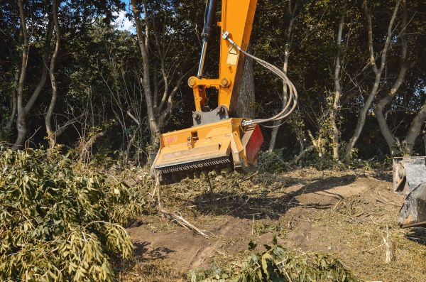 Brush Removal Service in North Tonawanda
