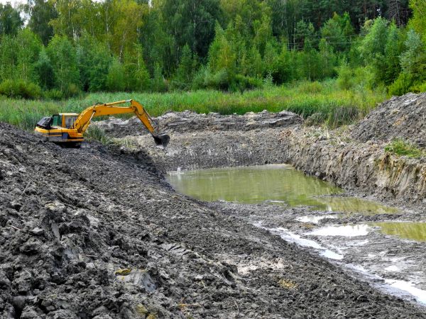 Cost of Lake Lot Clearing in North Tonawanda