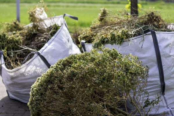 Cost of Bushes Clearing in North Tonawanda