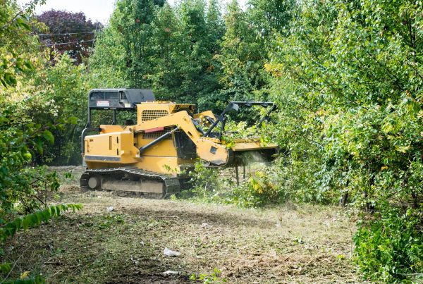 Cost of Pathway Clearing in North Tonawanda
