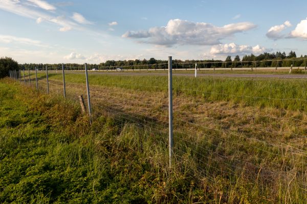 Cost of Property Line Clearing in North Tonawanda