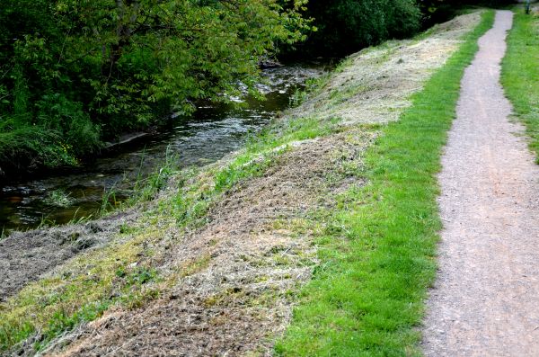 Cost of Trail Cutting in North Tonawanda