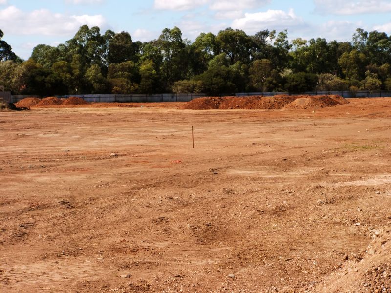 Clearing Land for Agriculture