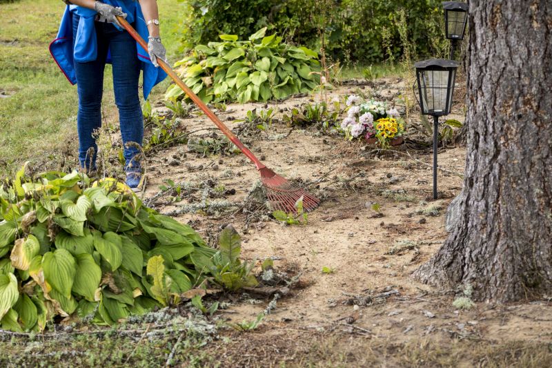 Post-Clearing Cleanup Teams